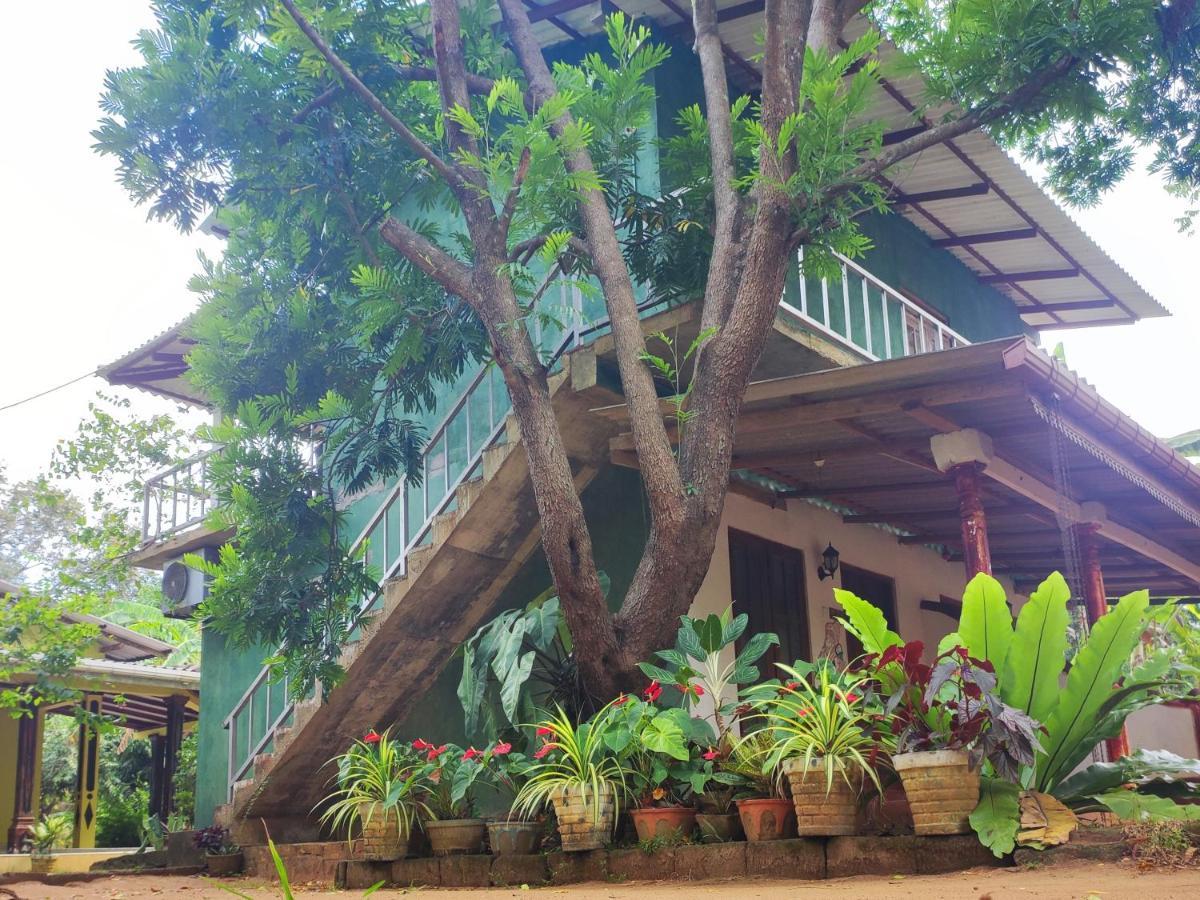 Hotel Jaana Guest Sigiriya Esterno foto