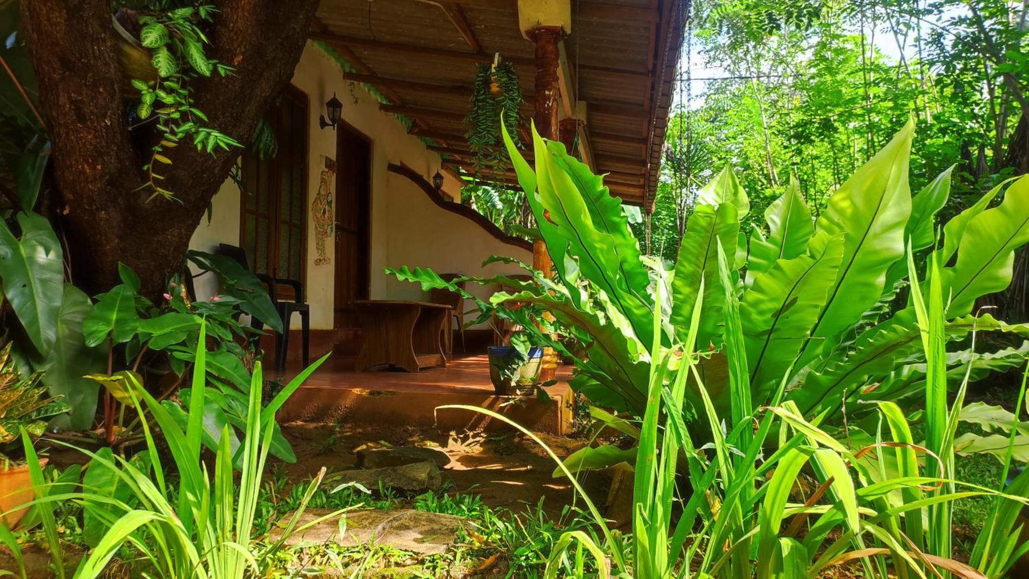 Hotel Jaana Guest Sigiriya Esterno foto