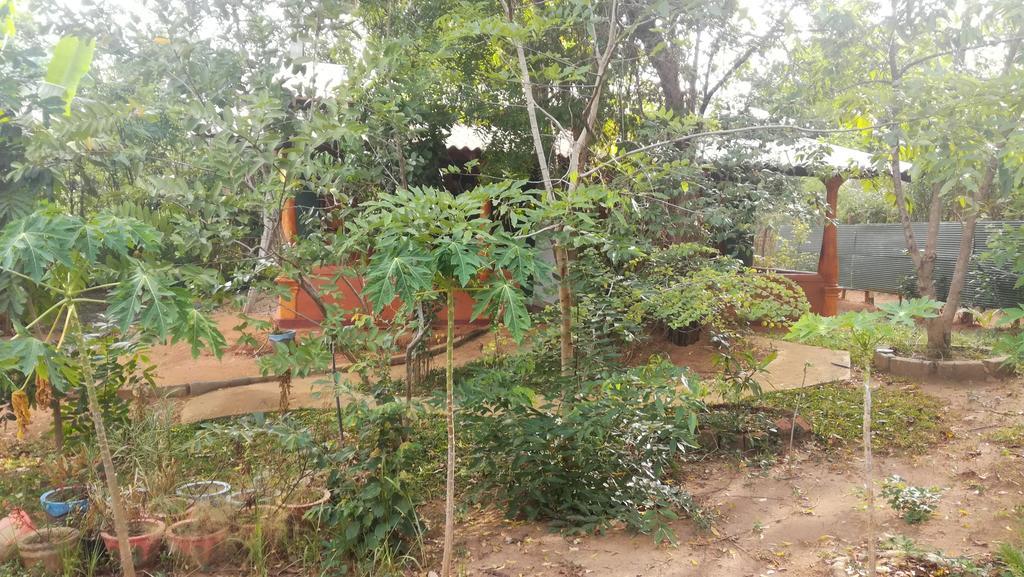 Hotel Jaana Guest Sigiriya Esterno foto